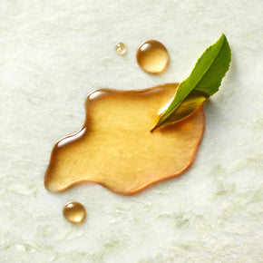 Essence Texture and Ingredient Shot