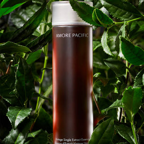Vintage Single Extract Essence Green Tea Ingredient